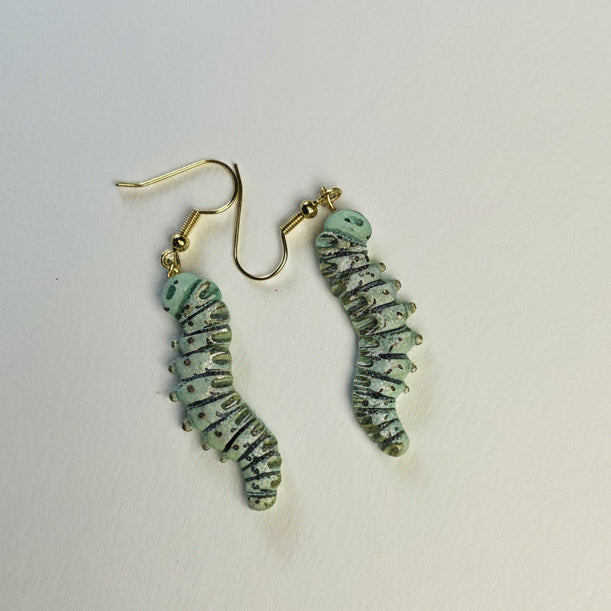 Green Hornworm