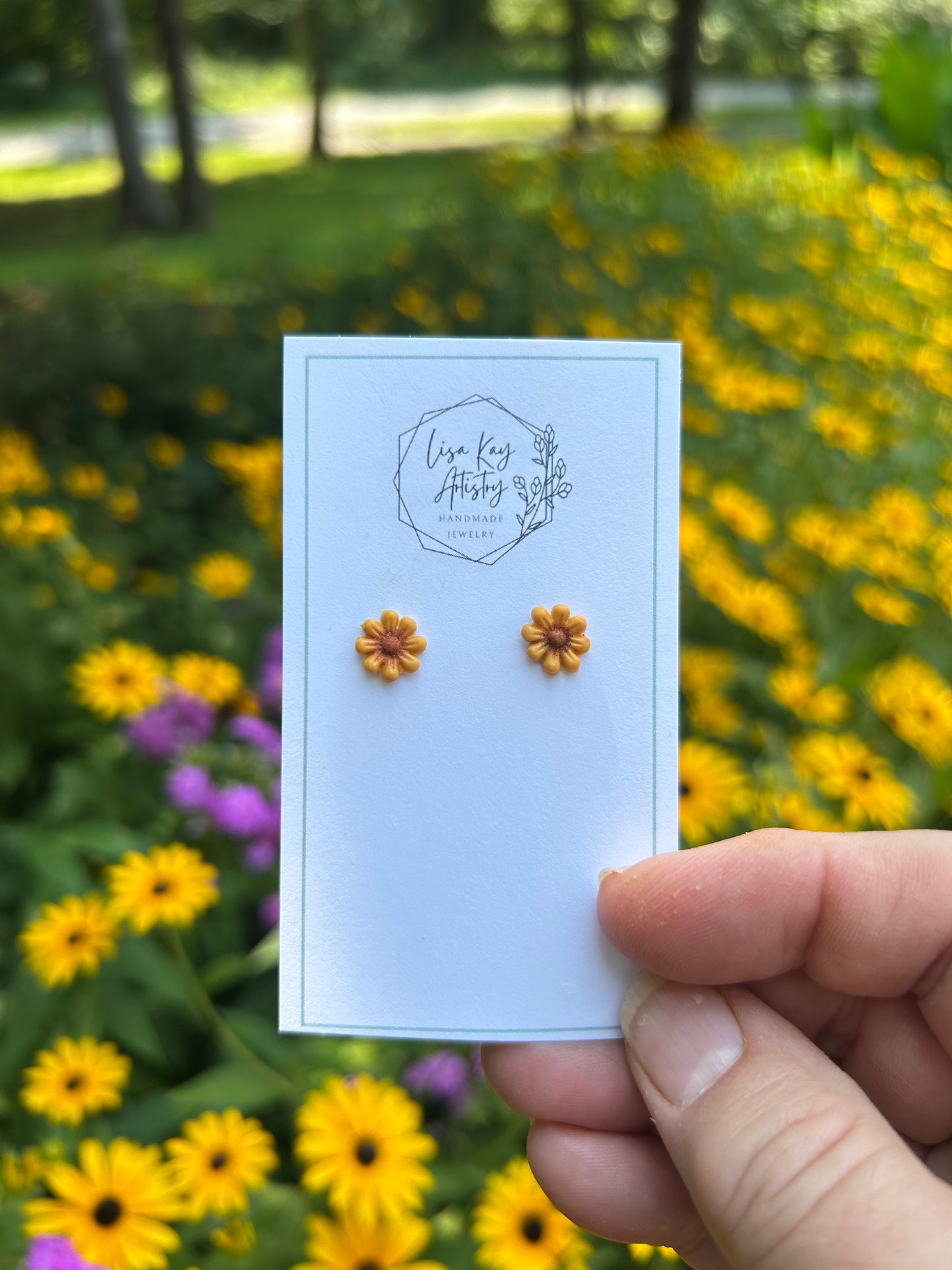 Summer Daisies