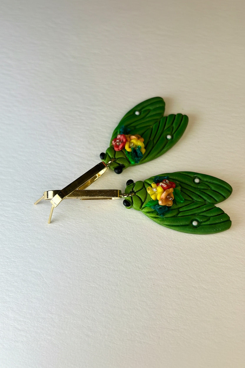 Cicada