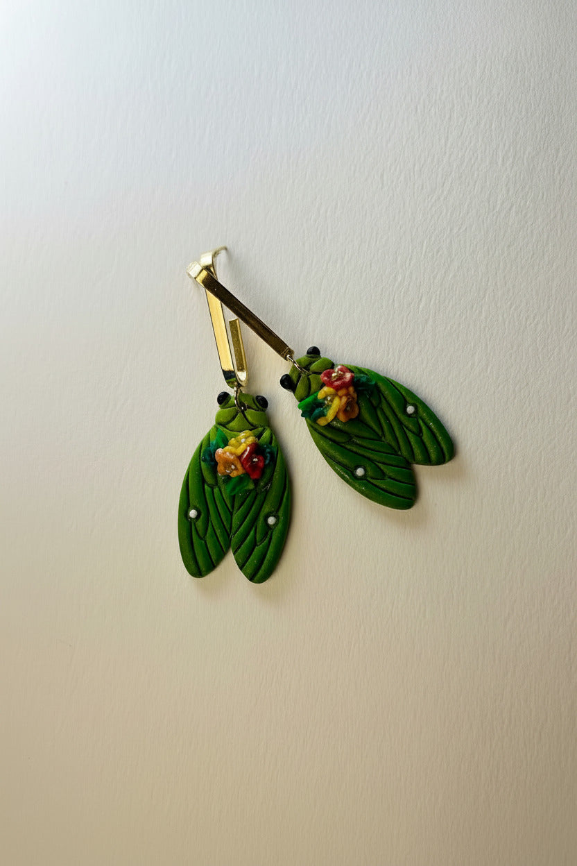 Cicada